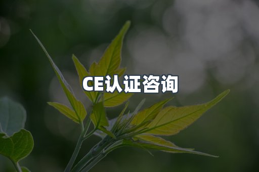 CE认证咨询