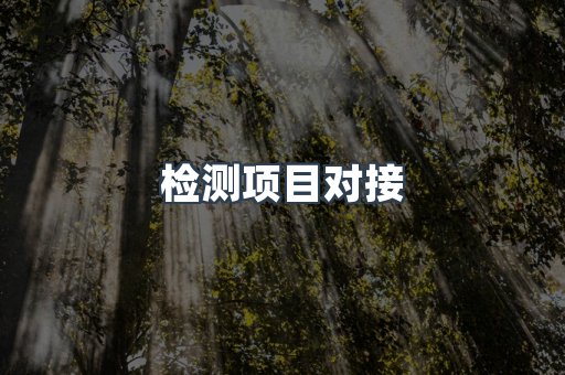 检测项目对接